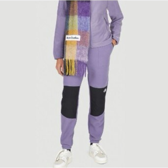 The North Face Pants - New The North Face Denali Track Pants Polartec Fleece Women’s Size XXL
